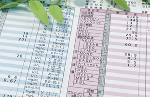 【就業判定サービス】