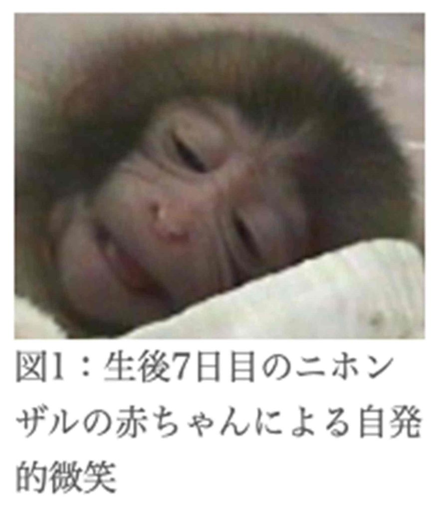 ニホンザルの赤ちゃんによる自発的微笑