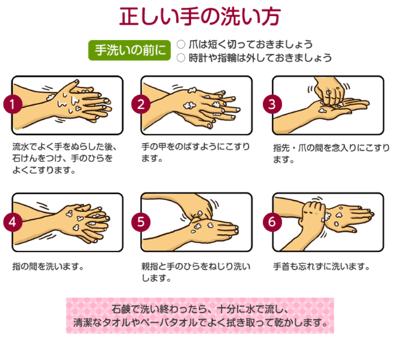 正しい手の洗い方