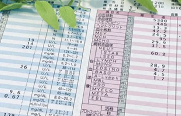 【就業判定サービス】